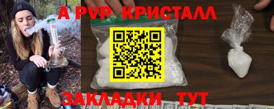 крисы Кимры