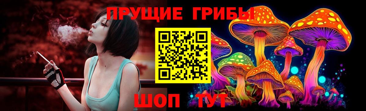Галлюциногенные грибы Cubensis  Галлюциногенные грибы мицелий  Вход с VPN  Крымск 